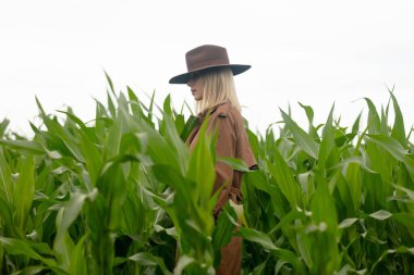 Yazın mısır tarlasında pelerinli ve şapkalı sarışın bir kadın.