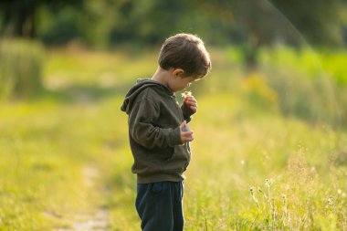 Kırsal yolda çiçekli küçük çocuk 