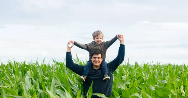 Vater Und Sohn Grünen Kornfeld — Stockfoto