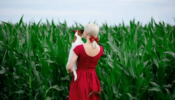 Blonde Lady Beautiful Red Dress Dog Cornfield — Stock Photo, Image