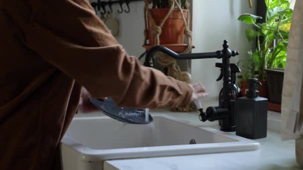 Γυναίκα Πλένει Ένα Πιάτο Στην Κουζίνα Χρησιμοποιώντας Οικολογικά Πινέλα — Αρχείο Βίντεο