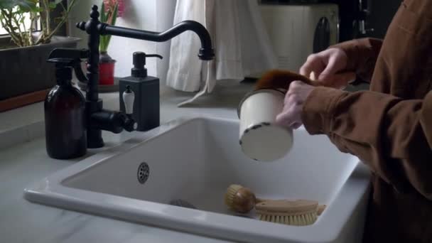 Kvinna Tvättar Kopp Köket Med Hjälp Miljövänliga Borste — Stockvideo