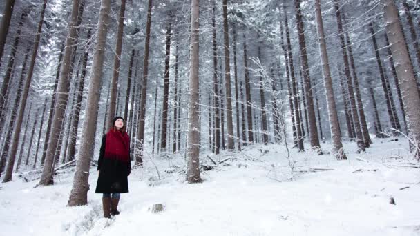 Kar Ormanında Genç Bir Kız Canlandırılmış Kar Yağışı Videosu — Stok video