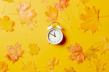 Sarı arka planda akçaağaç yapraklı beyaz çalar saat. Üst görünüm 