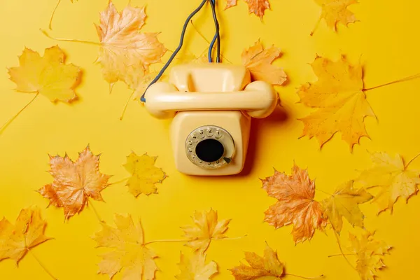 Vieux Téléphone Cadran Jaune Feuilles Érable Autour Vue Dessus — Photo