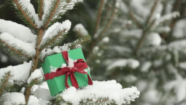 Weihnachtsgeschenkbox Auf Kiefernzweig Schnee Winter — Stockvideo