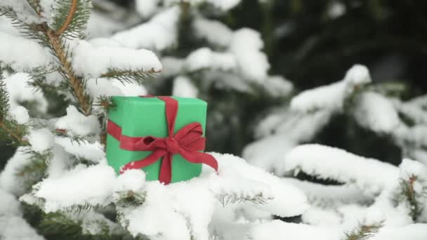 雪の中で松の枝にホリデーギフトボックス — ストック動画