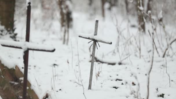 Tumba Cementerio Abandonado Alemania Pueblo Baja Silesia Polonia — Vídeo de stock