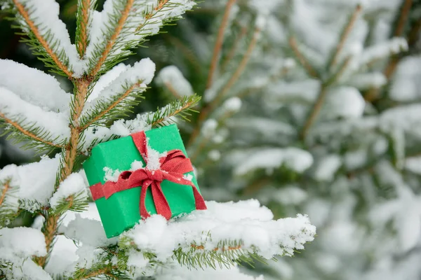 Boîte Cadeau Verte Avec Arc Rouge Sur Branche Neige Plein — Photo