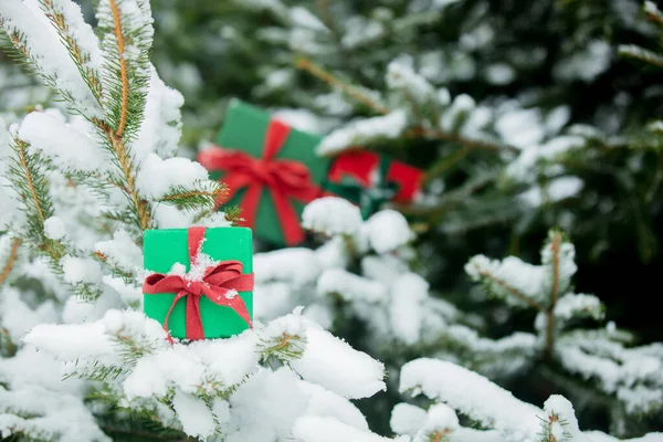 Grüne Geschenkschachtel Mit Roter Schleife Auf Schneezweig Freien — Stockfoto