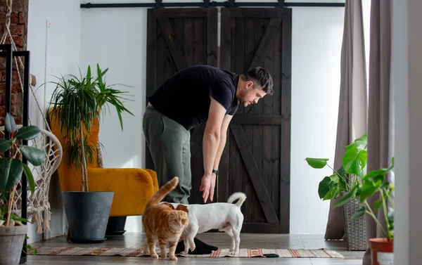 Adam Evde Kedi Köpeğin Yanında Spor Egzersizi Yapmaya Çalışıyor — Stok fotoğraf