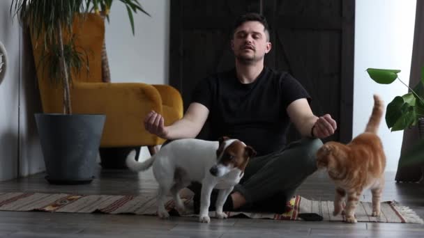 Man Trying Exercise Health Next Dog Home Floor — Stock Video