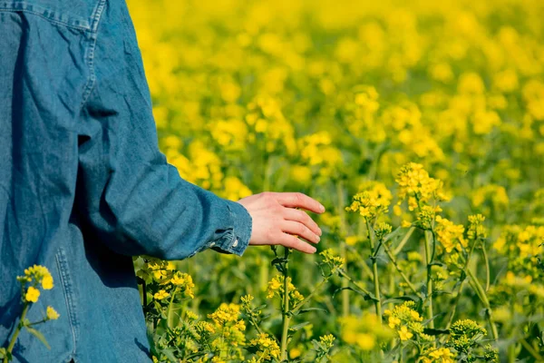 Mujer Cogida Mano Sobre Campo Colza — Foto de Stock