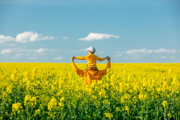 Bahar zamanı kolza tohumu tarlasında oğlu olan baba.