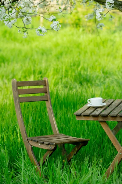 Чашка Кофе Чая Деревянном Столе Рядом Цветущим Деревом Саду — стоковое фото