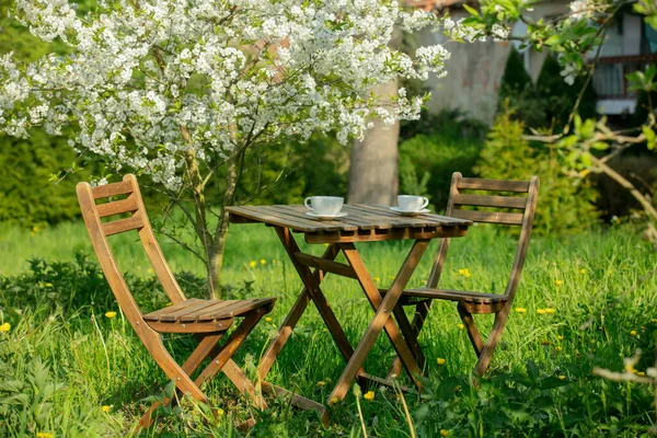 Cup Coffee Tea Wooden Table Next Blooming Tree Garden — Fotografia de Stock