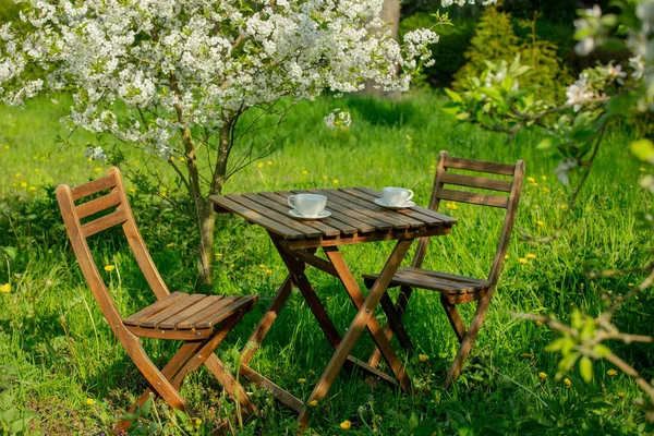 Cup Coffee Tea Wooden Table Next Blooming Tree Garden — Fotografia de Stock