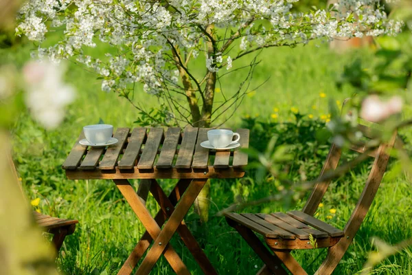 Cup Coffee Tea Wooden Table Next Blooming Tree Garden — Stock Photo, Image