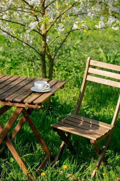 Cup Coffee Tea Wooden Table Next Blooming Tree Garden — Stock Photo, Image