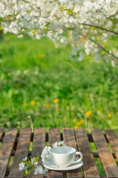Bahar bahçesindeki çiçek açan ağacın yanındaki masada.