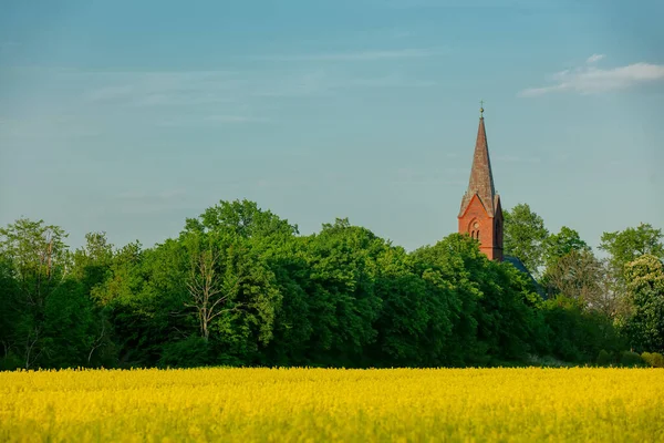 Old Christianity Church Rapeseed Field Lower Lisesia Poland — Foto Stock