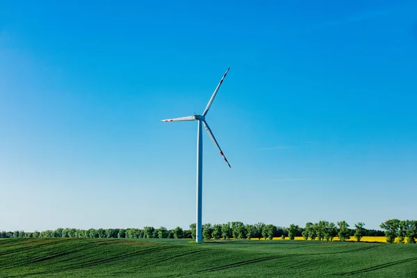 Wind Farm High Voltage Green Wheat Field — Foto Stock