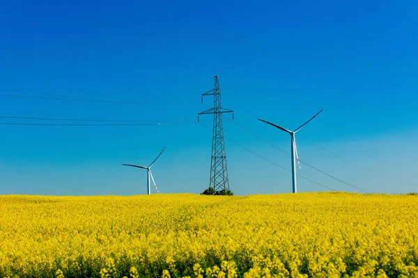 Vindkraftspark Och Högspänningsledning Ett Rapsfält — Stockfoto