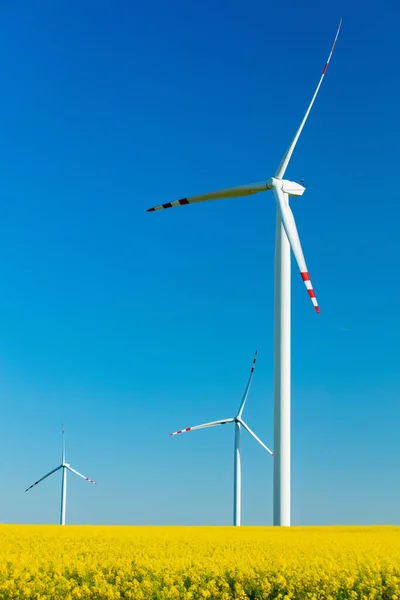 Wind Electric Turbine Rapeseed Field — Stok fotoğraf