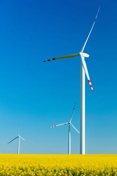 Turbina Eólica Elétrica Campo Colza — Fotografia de Stock