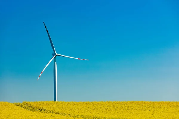 Wind Electric Turbine Rapeseed Field — Foto Stock