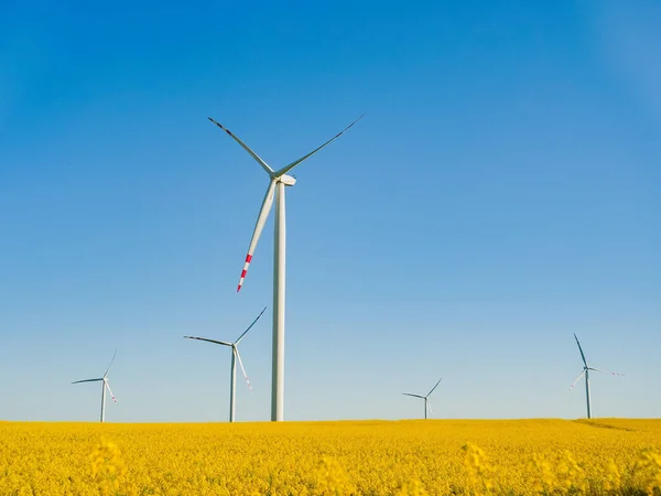 Wind Electric Turbine Rapeseed Field — Stockfoto