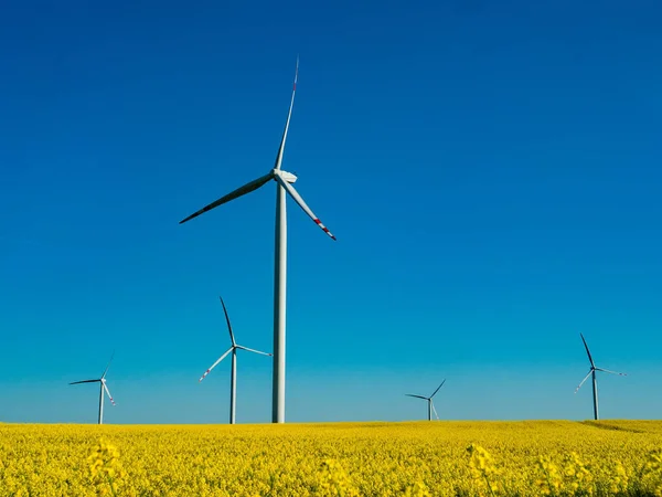 Wind Electric Turbine Rapeseed Field — Stok fotoğraf