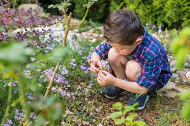Küçük çocuk baharda bahçede oynuyor.