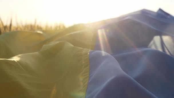 日没時に小麦畑にウクライナの国旗 ウクライナに対するロシアの戦争による食糧危機と飢饉の概念 — ストック動画