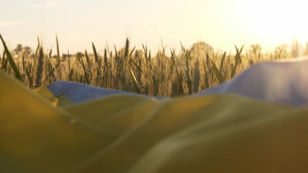 Ukrainska Flagga Vetefält Solnedgången Begreppet Livsmedelskris Och Svält Grund Ryssland — Stockvideo