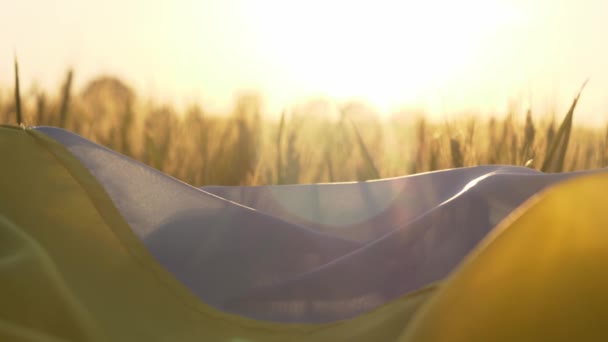 Ukraińska Flaga Polu Pszenicy Podczas Zachodu Słońca Koncepcja Kryzysu Żywnościowego — Wideo stockowe