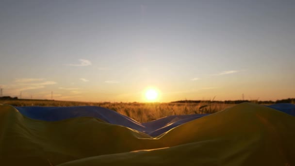 日没時に小麦畑にウクライナの国旗 ウクライナに対するロシアの戦争による食糧危機と飢饉の概念 — ストック動画