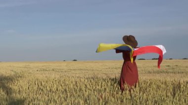 Ukrayna ve Polonya 'da buğday tarlasında bayraklar ve arka planda mavi gökyüzü olan kız