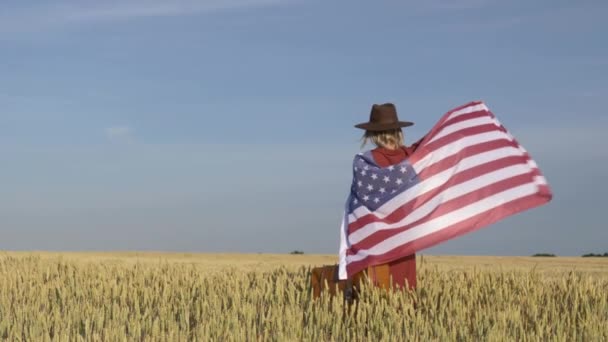 Menina Nos Eua Bandeira Com Mala Campo Trigo Com Céu — Vídeo de Stock