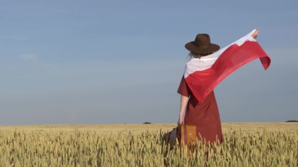 Chica Con Bandera Polonia Maleta Campo Trigo Con Cielo Azul — Vídeos de Stock