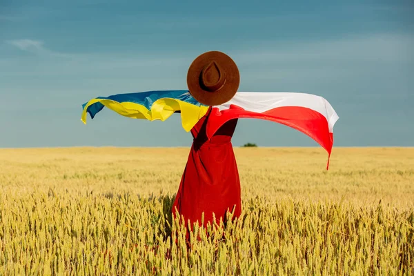 Fille Avec Ukraine Pologne Drapeaux Dans Champ Blé Ciel Bleu — Photo