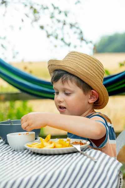 Little Boy Sit Table Garden Eating Salad French Fries — Zdjęcie stockowe