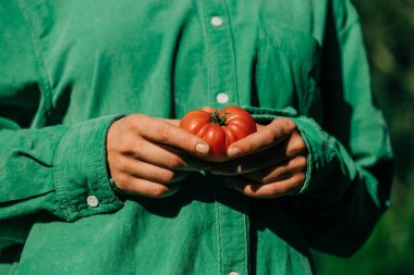 Woman in green shirt hold tomato in hand in outdoor