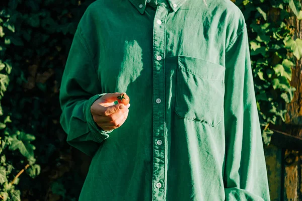 Woman Green Shirt Hold Tomato Hand Outdoor — Fotografia de Stock