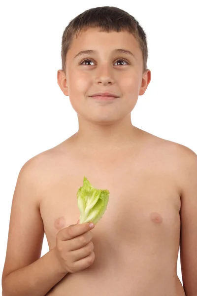 Gesundes Ernährungskonzept — Stockfoto