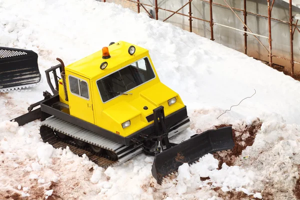 Kleine abgestellte Schneekatze — Stockfoto