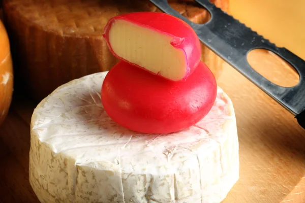 Käse — Stockfoto