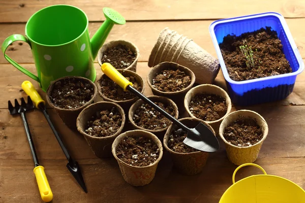 Preparación para la plantación — Foto de Stock