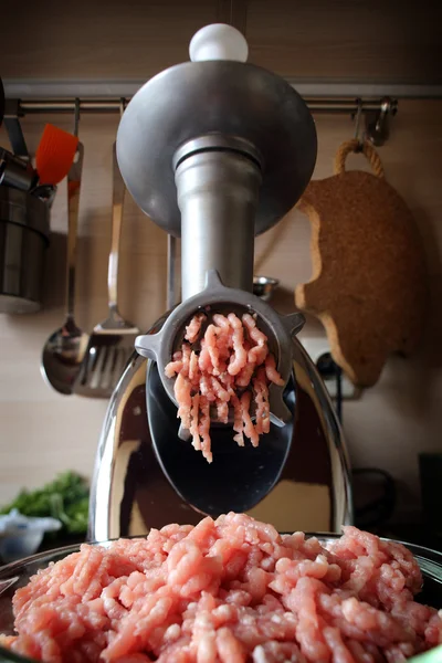 고기 분쇄기 — 스톡 사진