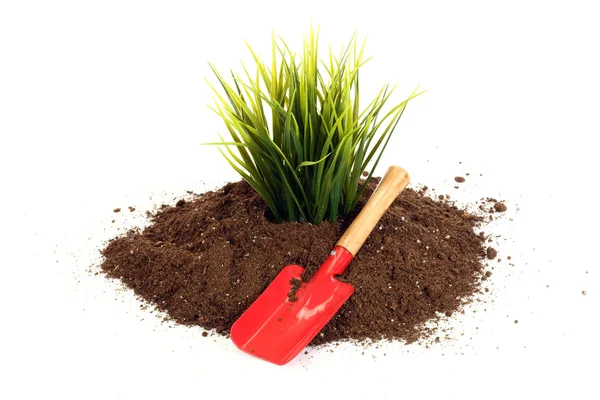 Home gardening — Stock Photo, Image